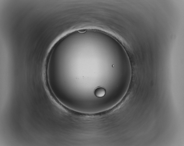 X0000112951518200908311459