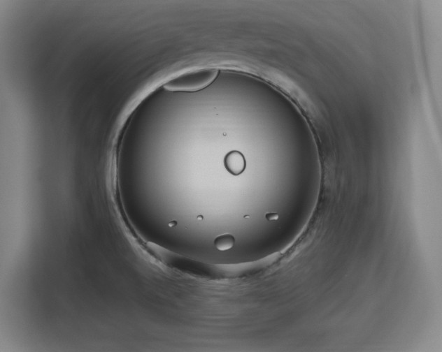 X0000112951520200908311459