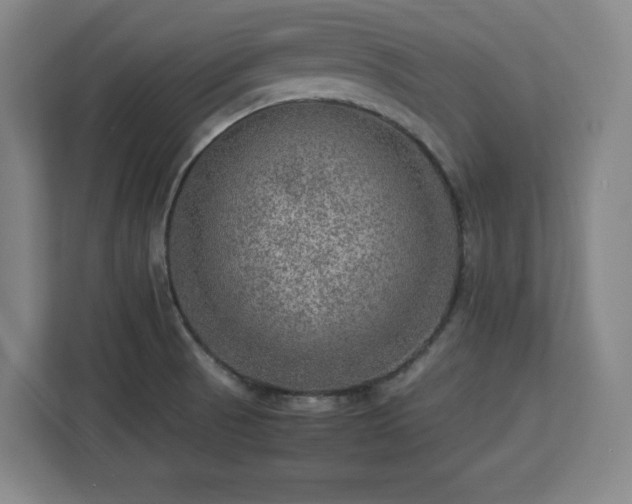 X0000112951521200908311459