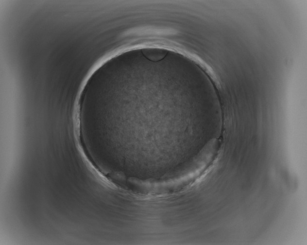 X0000112951522200908311459