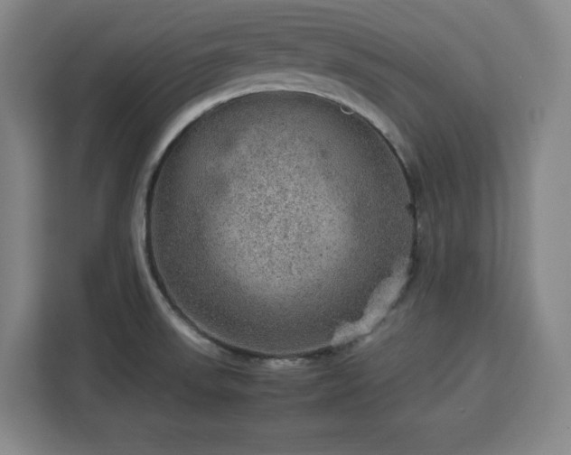 X0000112951523200908311459