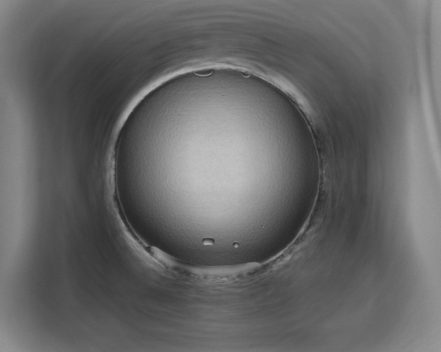 X0000112951524200908311459