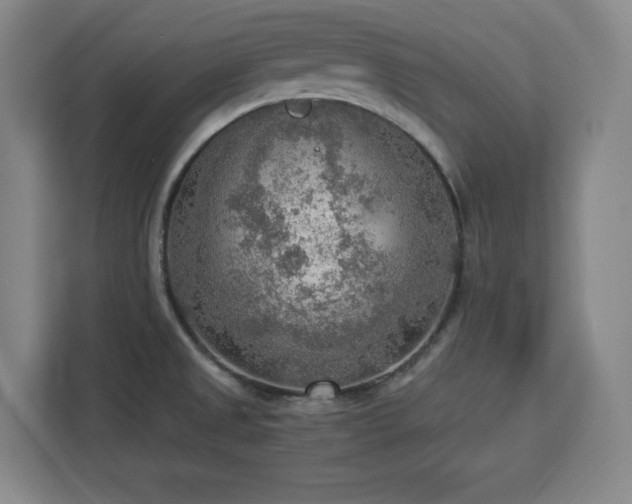 X0000112951525200908311459