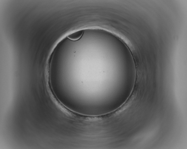 X0000112951526200908311459