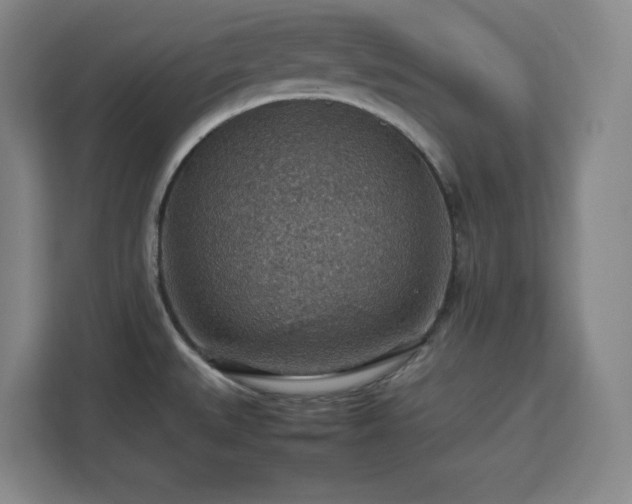 X0000112951527200908311459