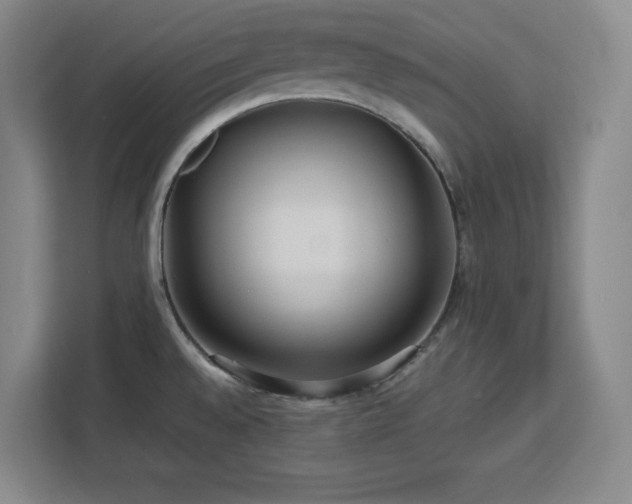 X0000112951528200908311459