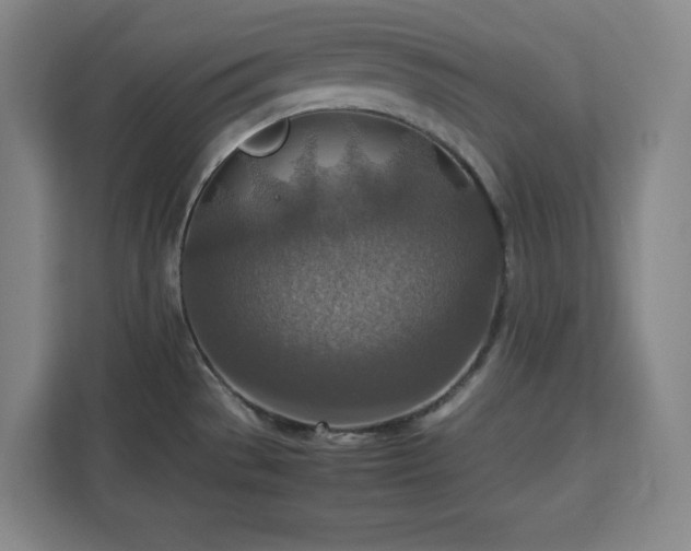 X0000112951529200908311459