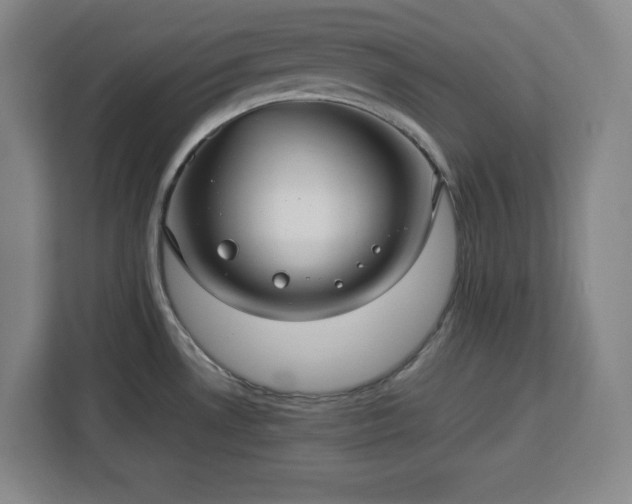 X0000112951530200908311459