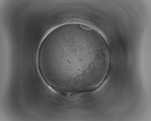 X0000112951533200908311459