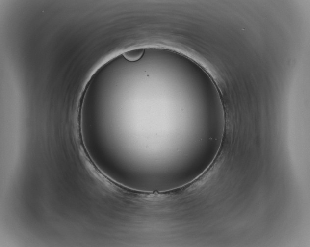 X0000112951534200908311459