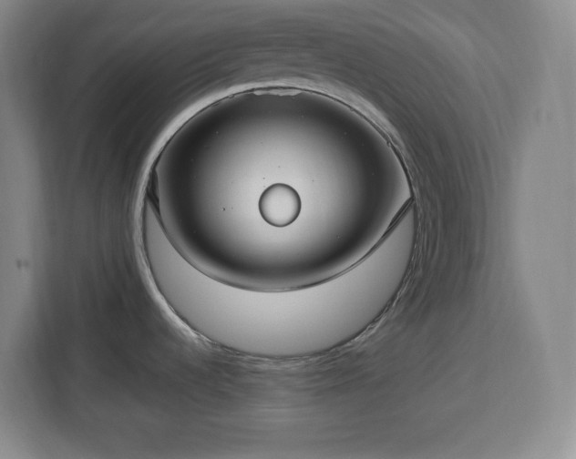 X0000112951536200908311459