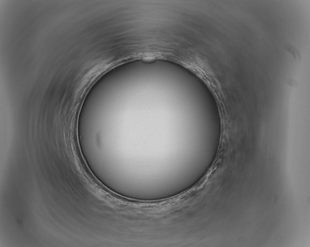 X0000112950001200909071125