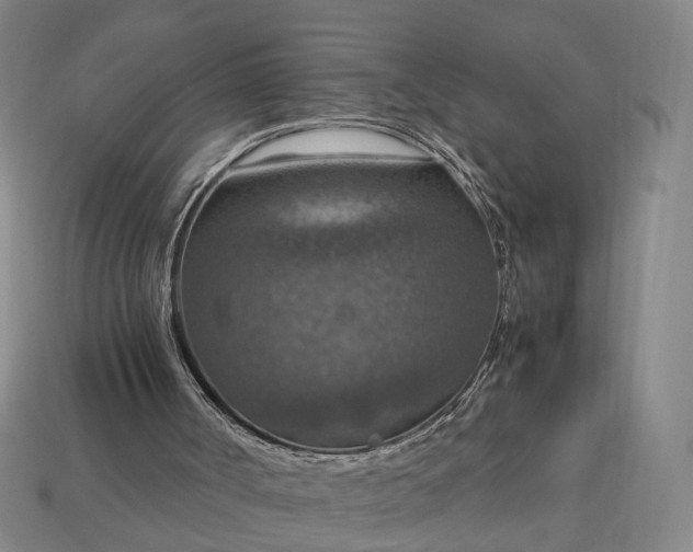 X0000112950002200909071125