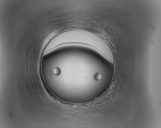 X0000112950003200909071125