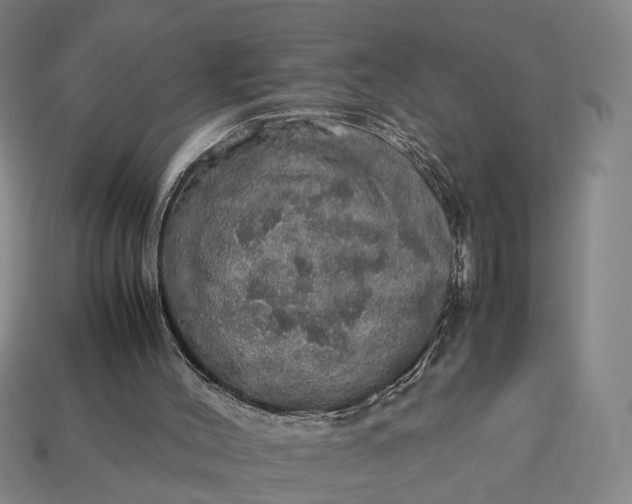 X0000112950004200909071125