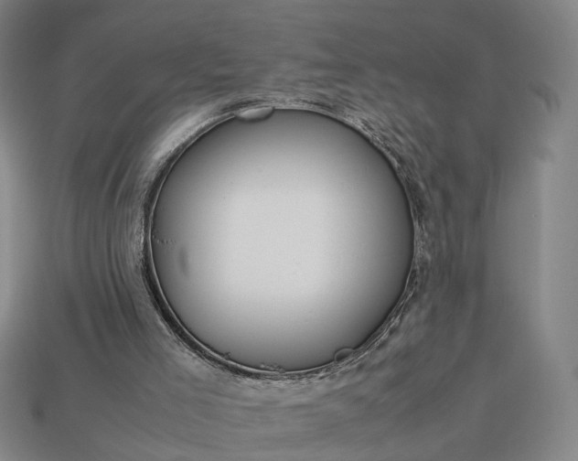 X0000112950005200909071125