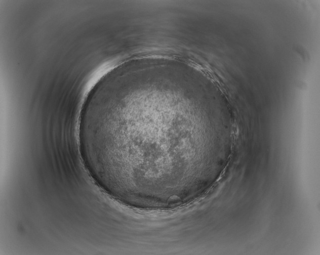 X0000112950006200909071125