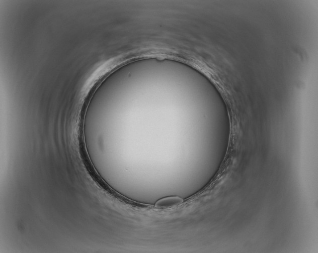 X0000112950007200909071125