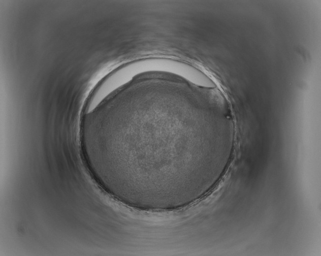 X0000112950008200909071125