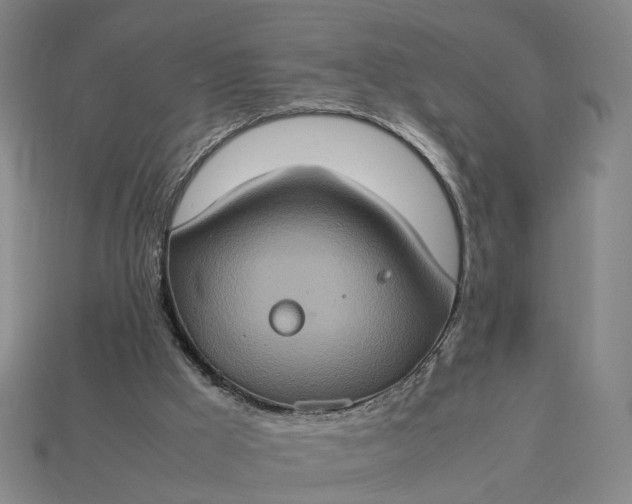 X0000112950009200909071125