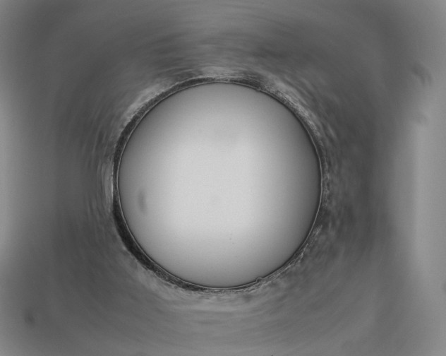 X0000112950011200909071125