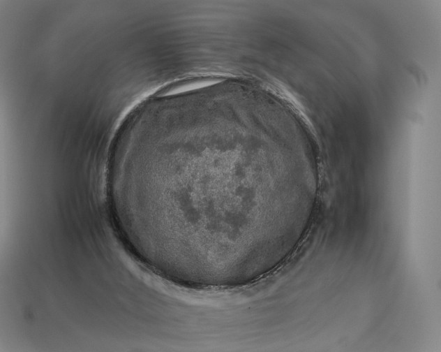 X0000112950012200909071125