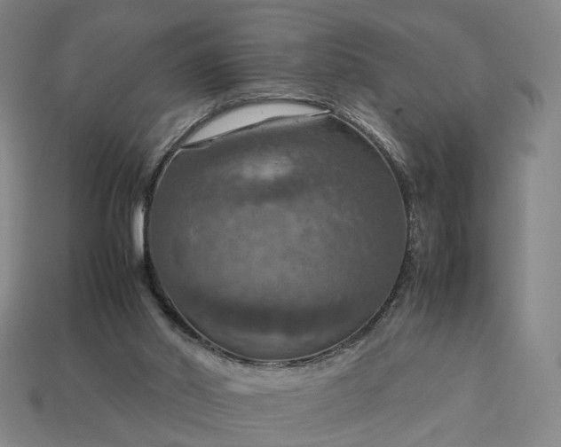 X0000112950014200909071125