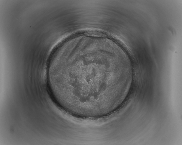 X0000112950016200909071125