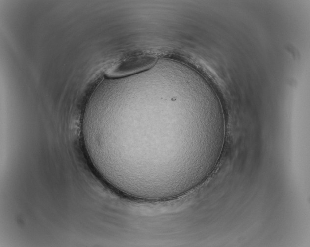 X0000112950017200909071125