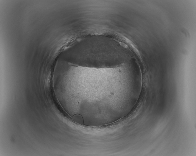 X0000112950018200909071125