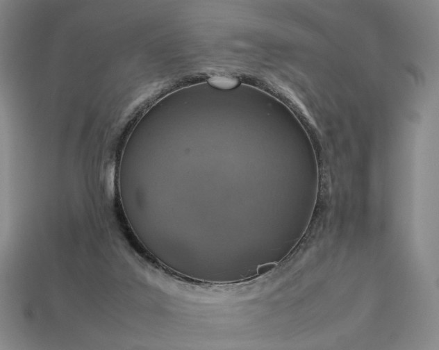 X0000112950019200909071125