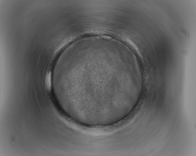 X0000112950020200909071125