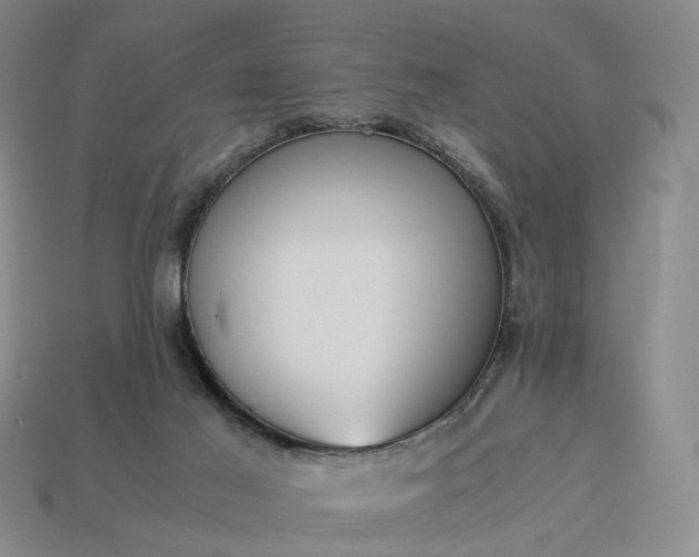 X0000112950021200909071125