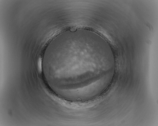 X0000112950022200909071125