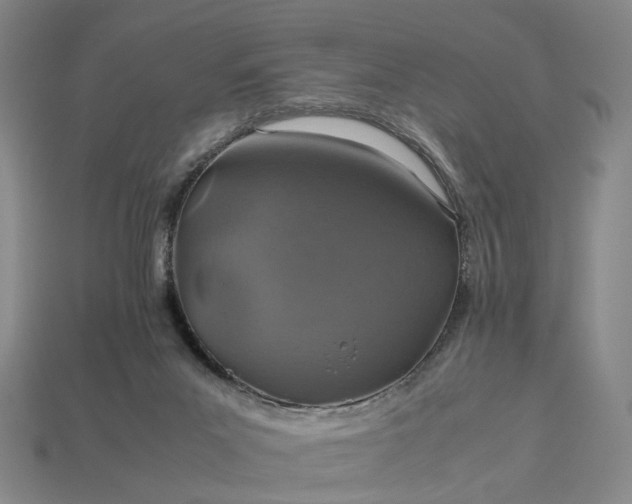 X0000112950023200909071125