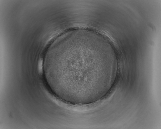 X0000112950024200909071125