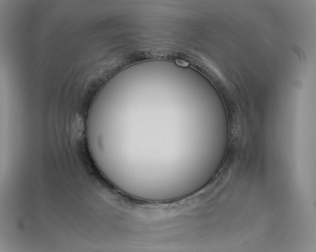 X0000112950025200909071125