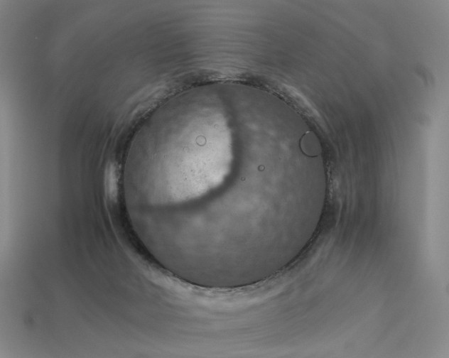 X0000112950026200909071125