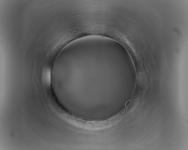 X0000112950027200909071125