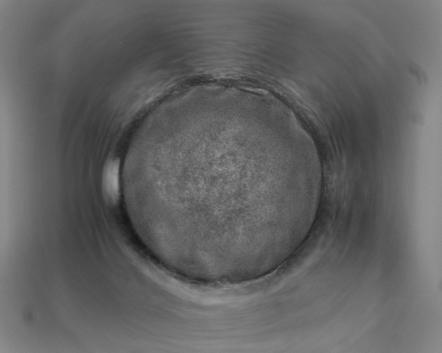 X0000112950028200909071125