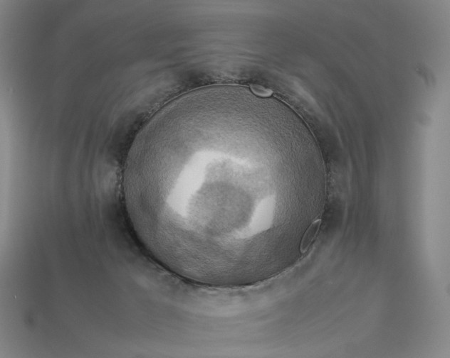 X0000112950029200909071125