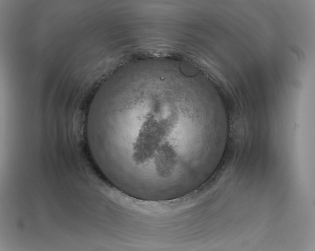 X0000112950030200909071125