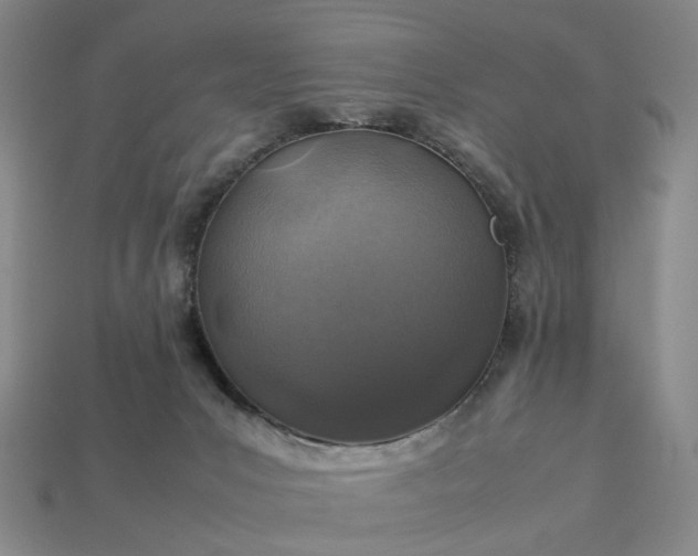 X0000112950031200909071125