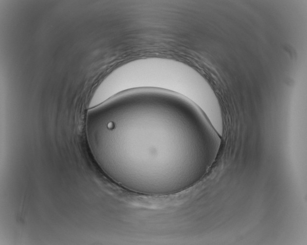 X0000112950033200909071125