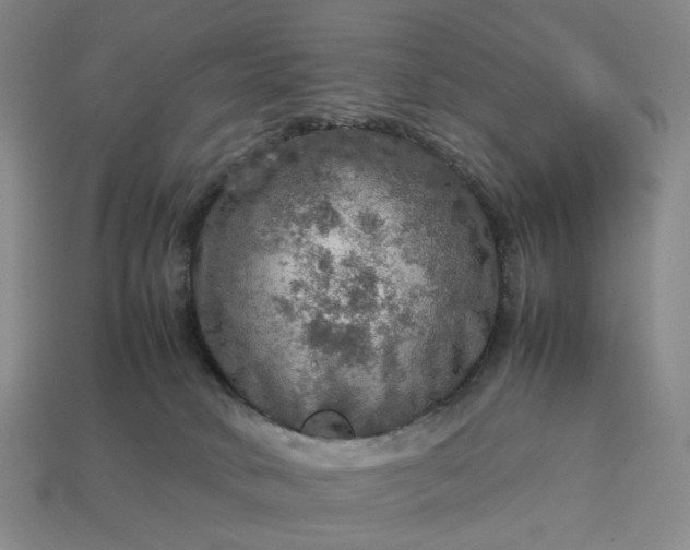 X0000112950034200909071125