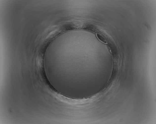 X0000112950035200909071125