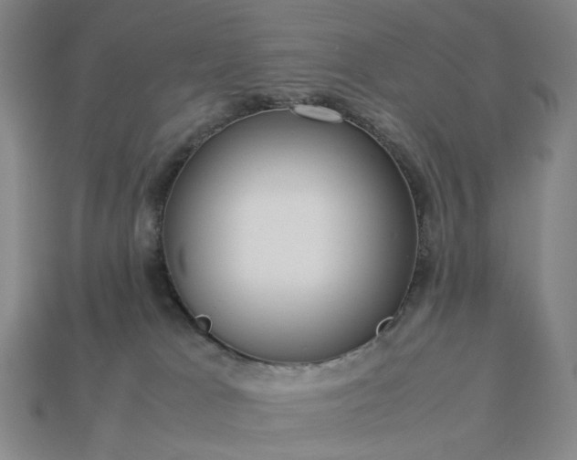 X0000112950037200909071125