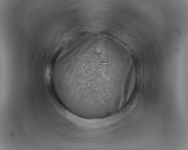 X0000112950038200909071125