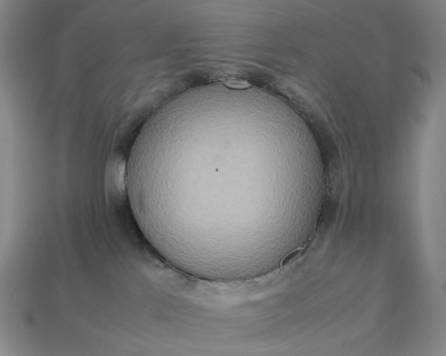 X0000112950041200909071125