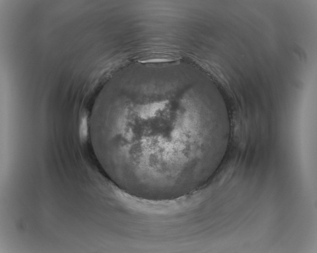 X0000112950042200909071125